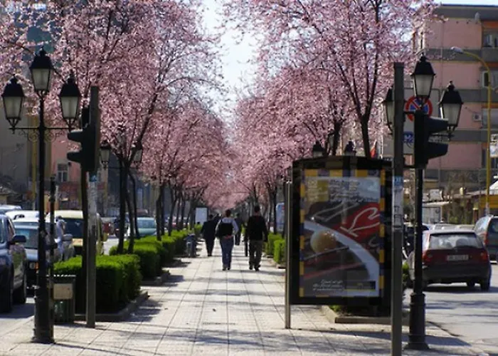 Cozy Great Location Apartment Tirana