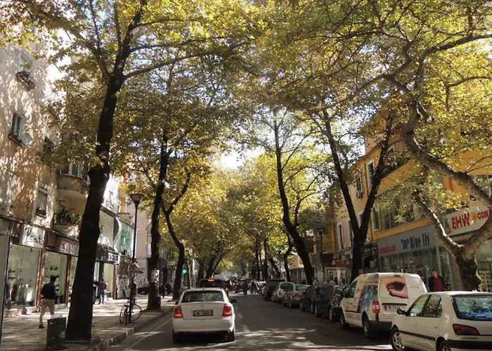 Cozy Great Location Tirana