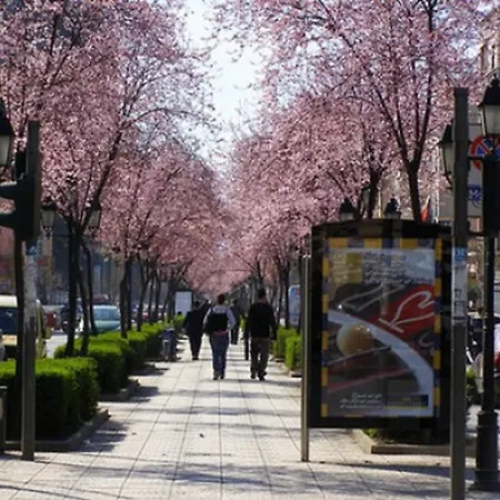 Cozy Great Location Apartamento Tirana